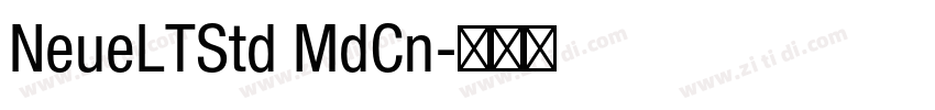 NeueLTStd MdCn字体转换
